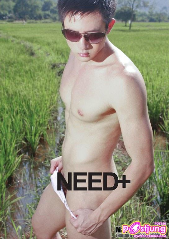 Need+ vol. 1 no. 41 December 2010