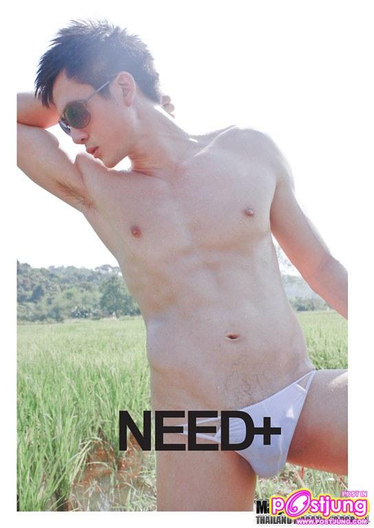 Need+ vol. 1 no. 41 December 2010