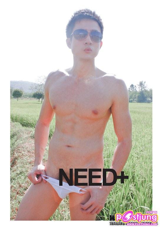 Need+ vol. 1 no. 41 December 2010