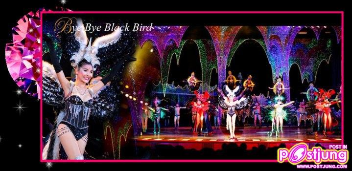 :+:สาวสวยจากทิฟฟานี่โชว์พัทยา:+: