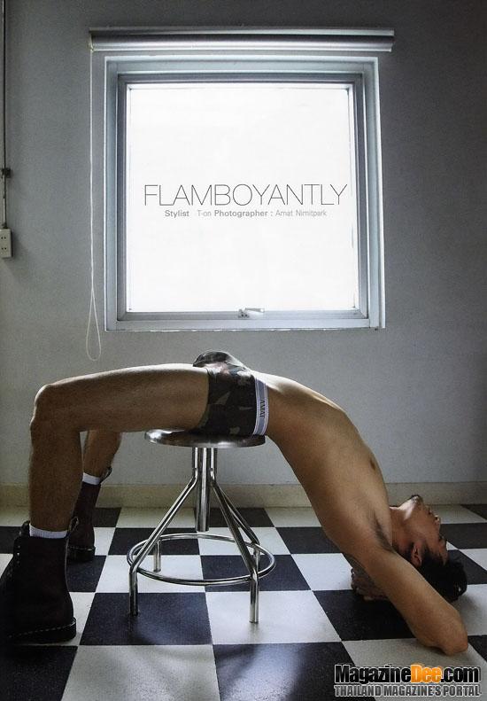 IMAGE vol. 23 no. 12 December 2010