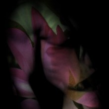 สวยงามมากครับ ศิลปะกับหนุ่มๆ