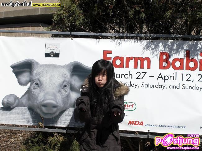 มาอีกแล้ว...ใบเฟิร์นจ้า