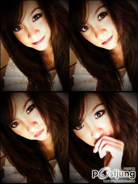 มาอีกแล้ว...ใบเฟิร์นจ้า