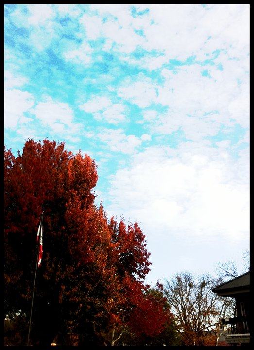 ยินดีด้วยกับ Dr.นาวิน ตาร์