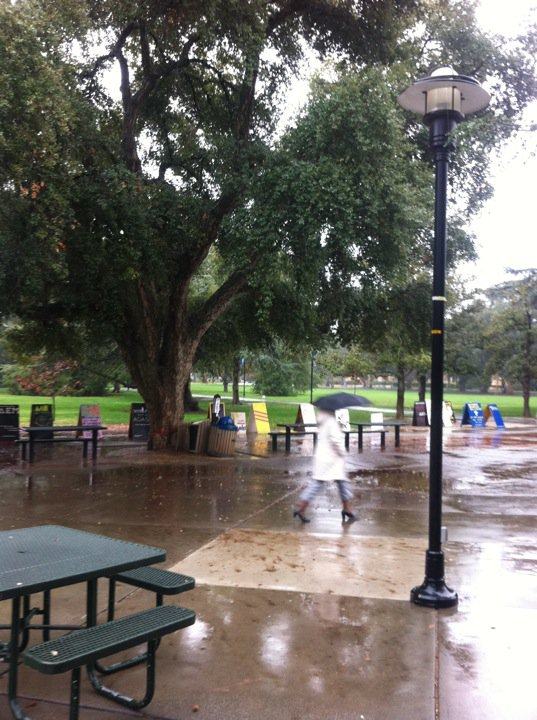 ยินดีด้วยกับ Dr.นาวิน ตาร์