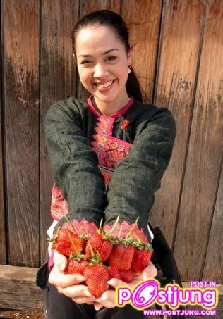 ลานนา คัมมินส์