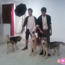 ณเดชน์-หมากและน้องหมา