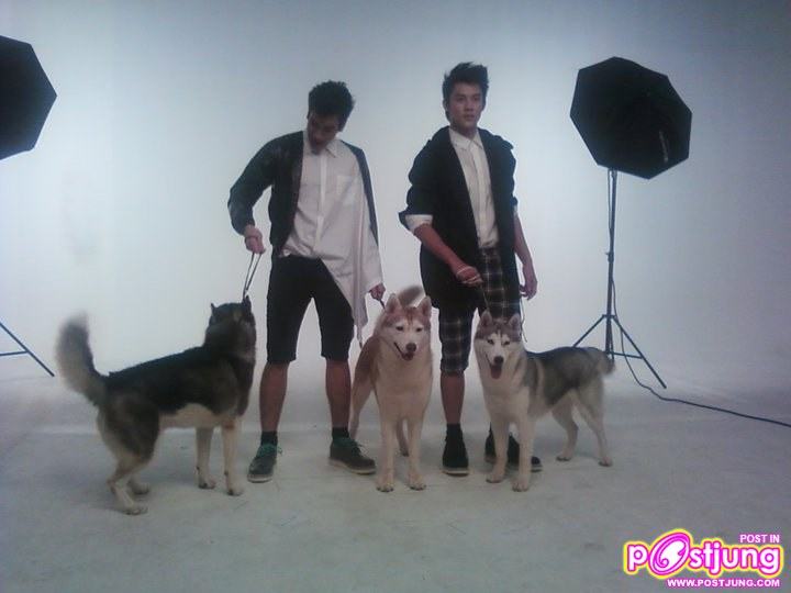 ณเดชน์-หมากและน้องหมา