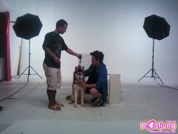 ณเดชน์-หมากและน้องหมา