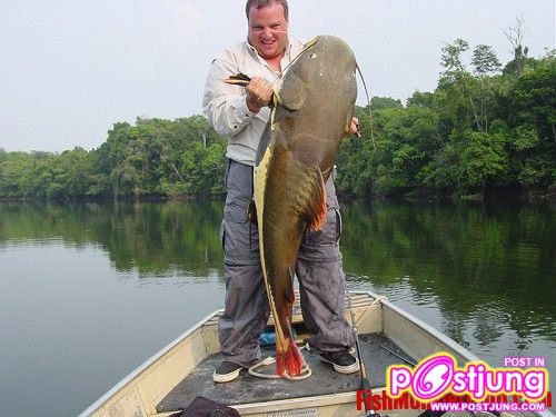 มาเลี้ยงปลาเรดเทลดีกว่า