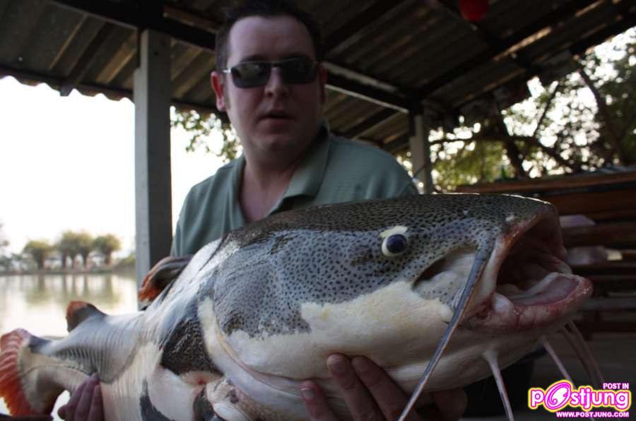 มาเลี้ยงปลาเรดเทลดีกว่า