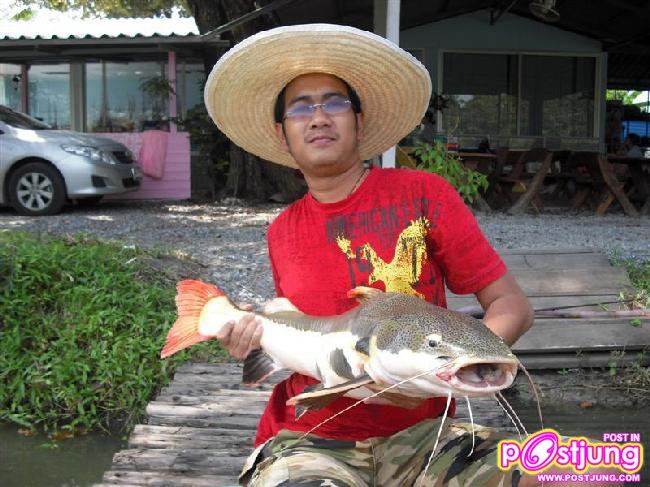 มาเลี้ยงปลาเรดเทลดีกว่า