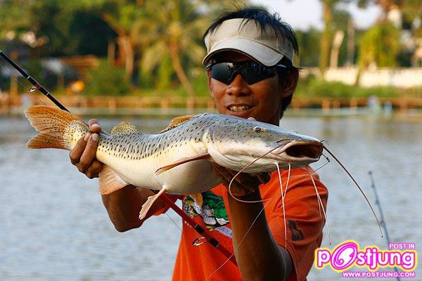 มาเลี้ยงปลาเรดเทลดีกว่า