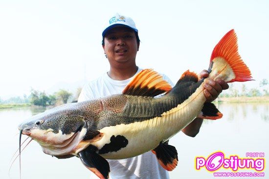 มาเลี้ยงปลาเรดเทลดีกว่า