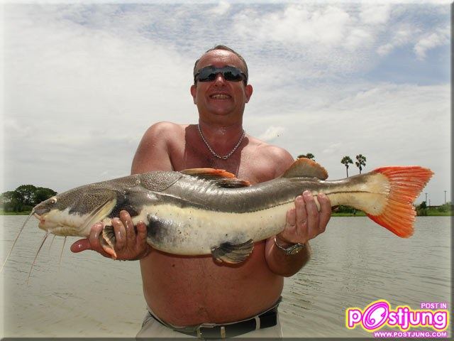 มาเลี้ยงปลาเรดเทลดีกว่า