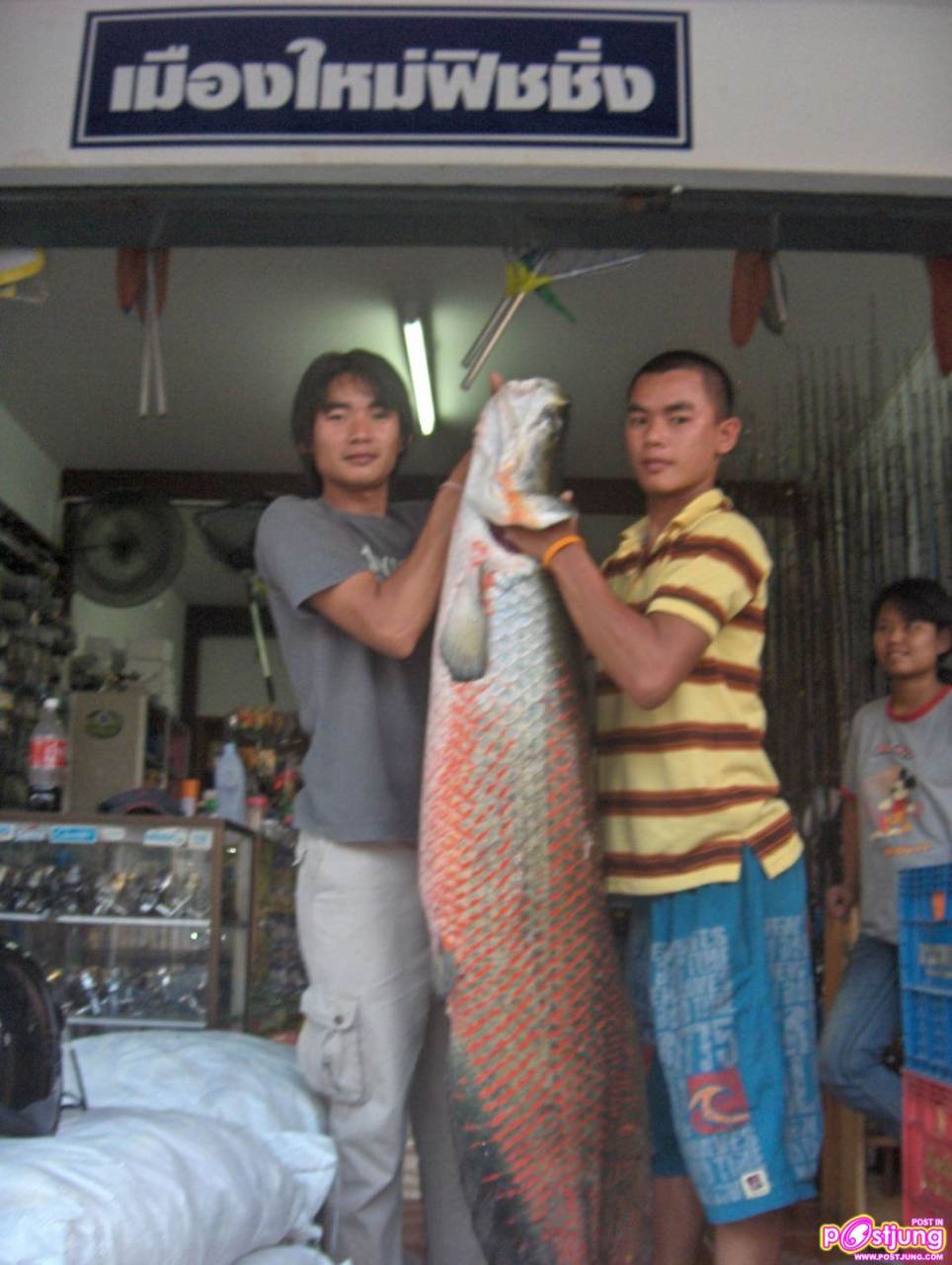 ปลาช่อนอะเมซอน