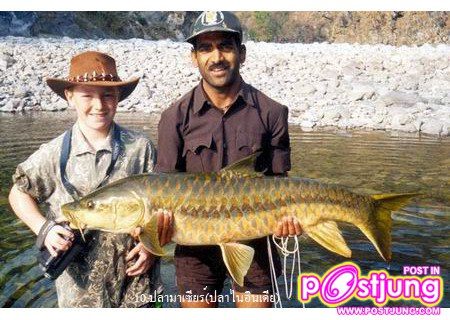 10.ปลาไนอินเดีย