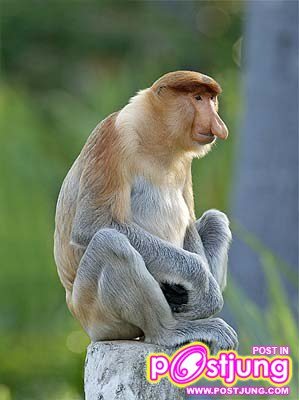 มันมีด้วยหรอ