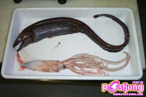 มันมีด้วยหรอ