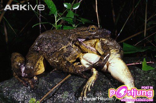 กินกันเอง