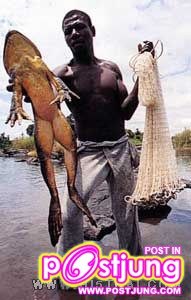 กบยักษ์ โกไลแอท