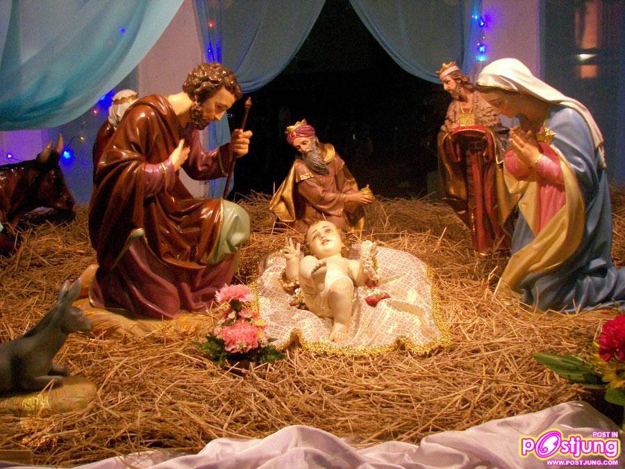 Natthew กับคอนเสิร์ตประสานเสียง Christmas Celebration 2010