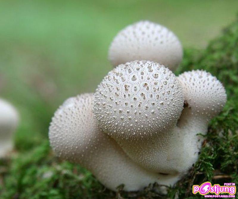 My Image 33