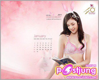 ปฏิทิน 2011