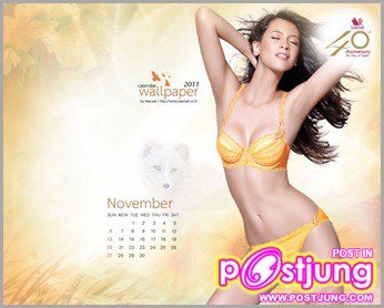 ปฏิทิน 2011