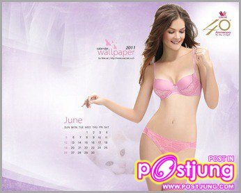 ปฏิทิน 2011