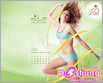 ปฏิทิน 2011