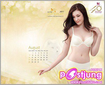 ปฏิทิน 2011