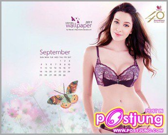 ปฏิทิน 2011