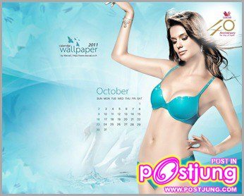 ปฏิทิน 2011