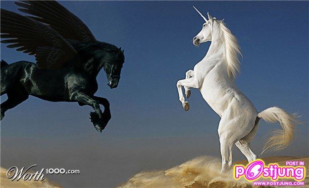 UNICORN AND PEGASI