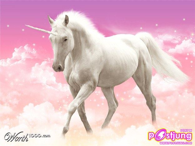 UNICORN AND PEGASI