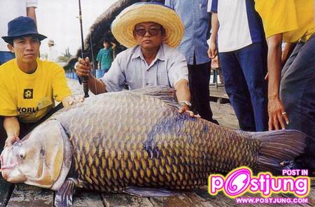 ของใหย๋