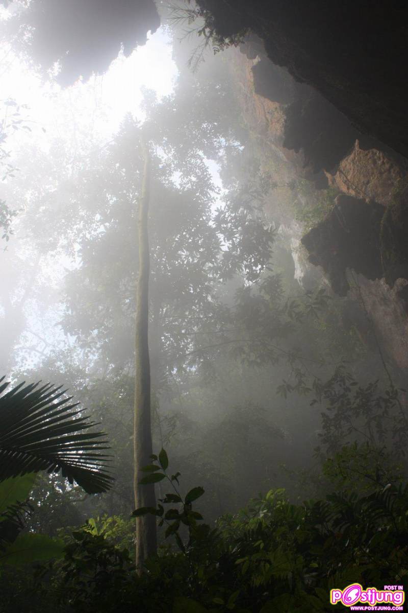 ถ้ำSon Doong ที่เวียดนาม [ถ้ำที่ใหญ่ที่สุดในโลก]