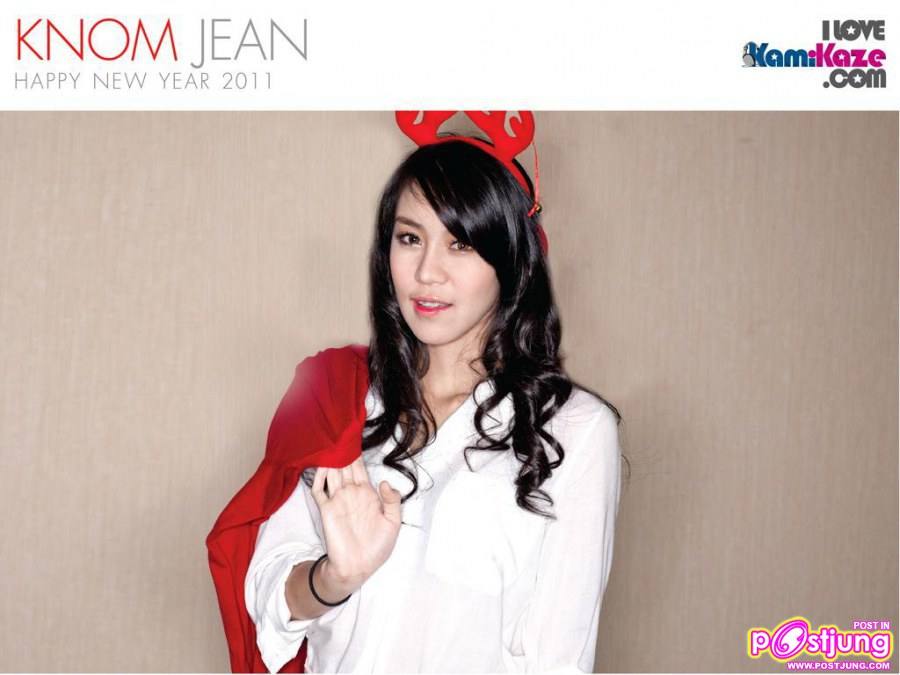 KamiKaze Happy New Year 2011