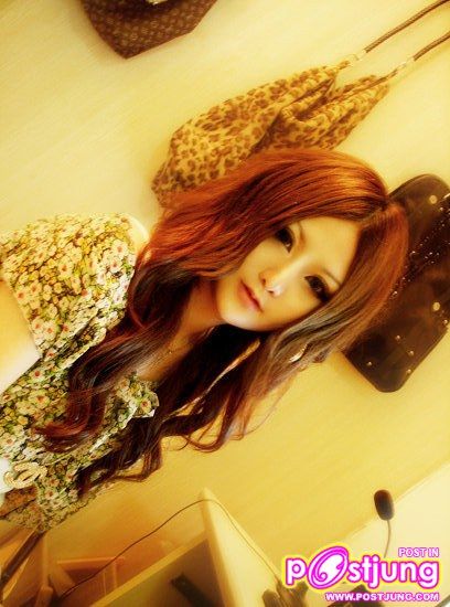 komi xi ณบัดนาว