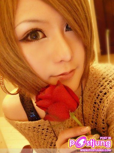 komi xi ณบัดนาว