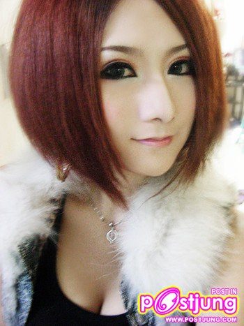 komi xi ณบัดนาว