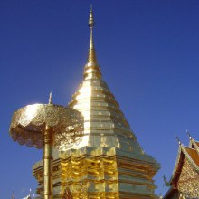 เทศกาลดอกไม้เมืองหนาวและงานกาดชาด จ.เชียงใหม่ 2011