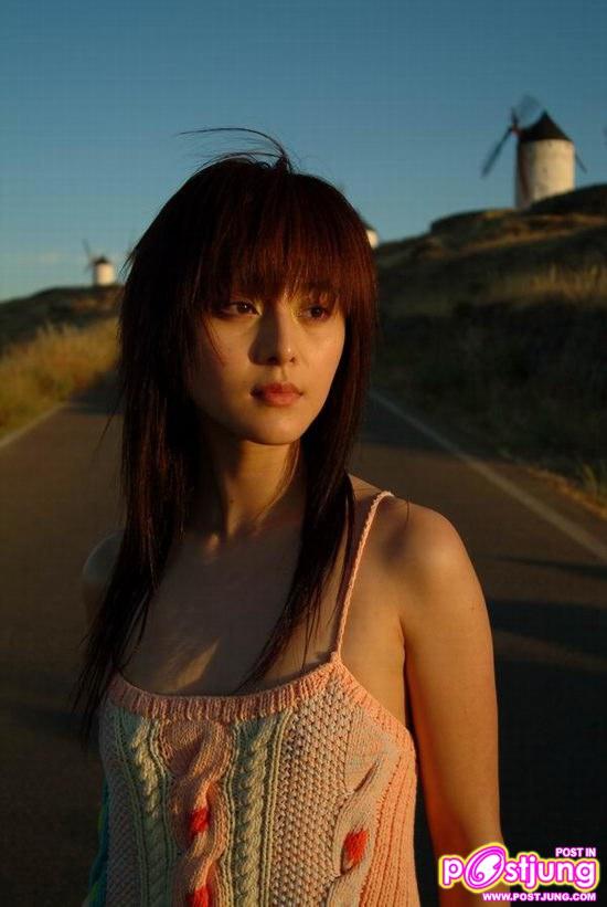 ดาราจีน :: ฟาน ปิง ปิง