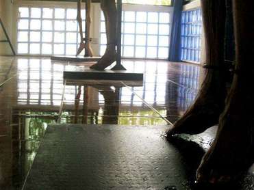 พิพิธภัณฑ์ชีวิต จากวัดพระบาทน้ำพุ