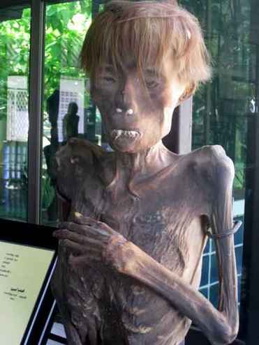 พิพิธภัณฑ์ชีวิต จากวัดพระบาทน้ำพุ