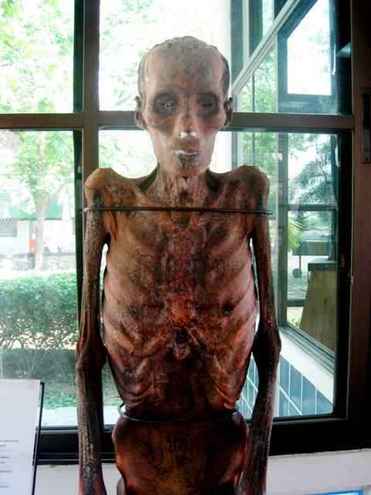 พิพิธภัณฑ์ชีวิต จากวัดพระบาทน้ำพุ