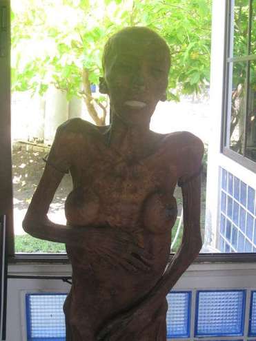 พิพิธภัณฑ์ชีวิต จากวัดพระบาทน้ำพุ