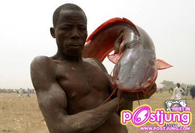 มาดูชาวไนจีเรียจับปลากัน